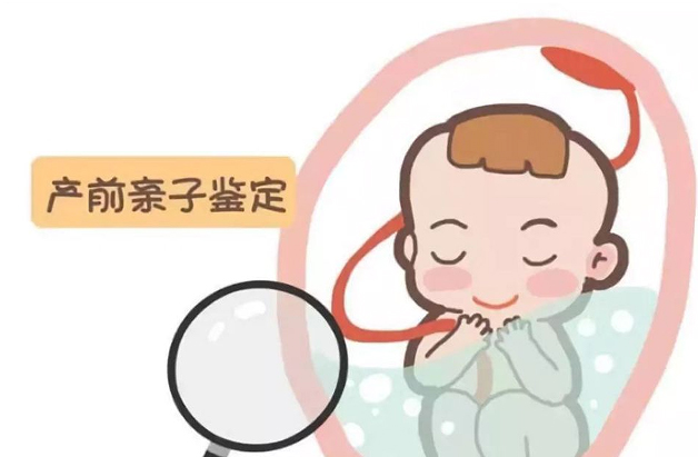 湖州怀孕了如何办理亲子鉴定,湖州产前亲子鉴定办理流程