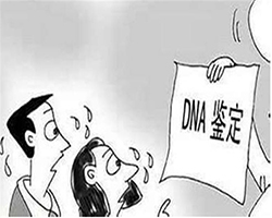 湖州司法DNA鉴定需要怎么办理，湖州司法亲子鉴定预约