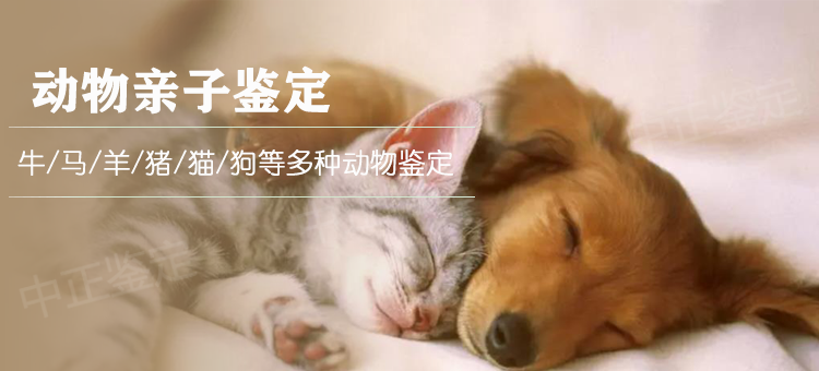 湖州动物鉴定