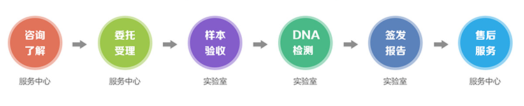 湖州隐私亲子鉴定流程
