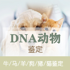 湖州动物鉴定